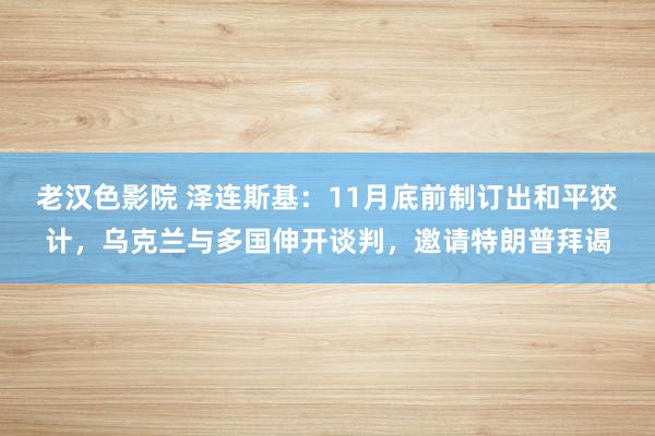 老汉色影院 泽连斯基:11月底前制订出和平狡计,乌克兰与多国伸开谈判,邀请特朗普拜谒