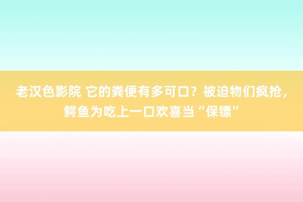 老汉色影院 它的粪便有多可口?被迫物们疯抢,鳄鱼为吃上一口欢喜当“保镖”