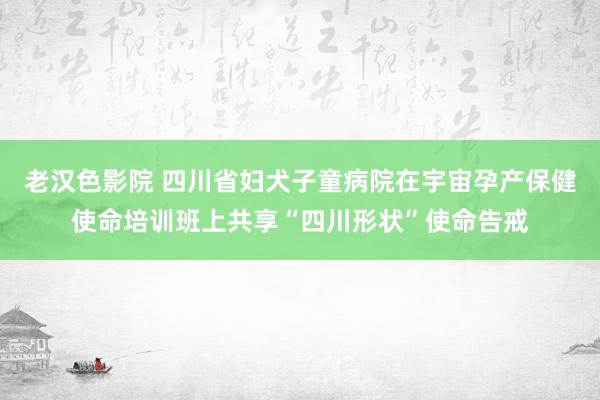 老汉色影院 四川省妇犬子童病院在宇宙孕产保健使命培训班上共享“四川形状”使命告戒