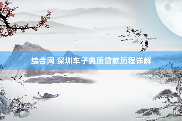 综合网 深圳车子典质贷款历程详解