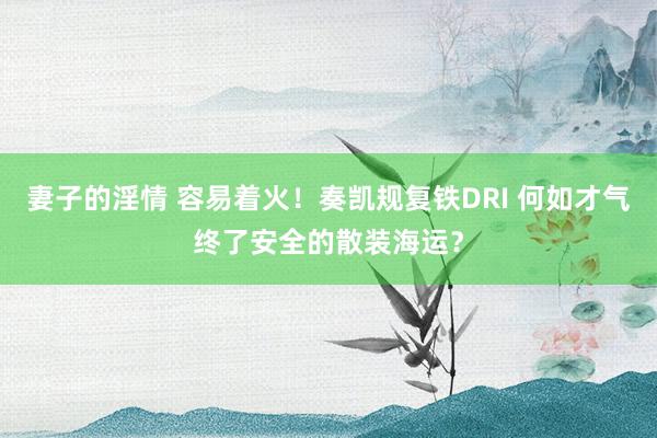 妻子的淫情 容易着火！奏凯规复铁DRI 何如才气终了安全的散装海运？