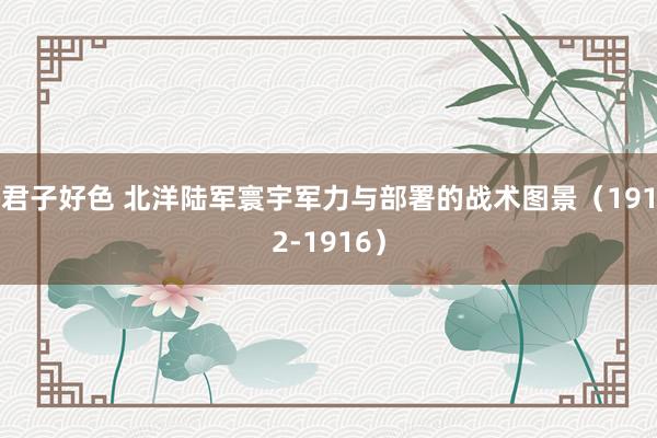 君子好色 北洋陆军寰宇军力与部署的战术图景（1912-1916）